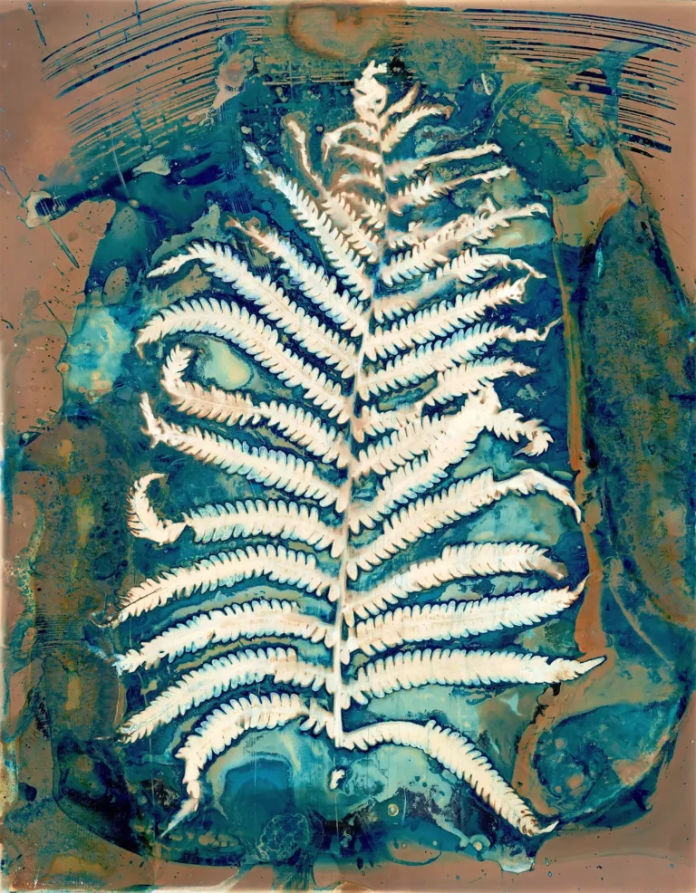 "Island", a print from the Cynolumens series, by Katelynn McAllister
