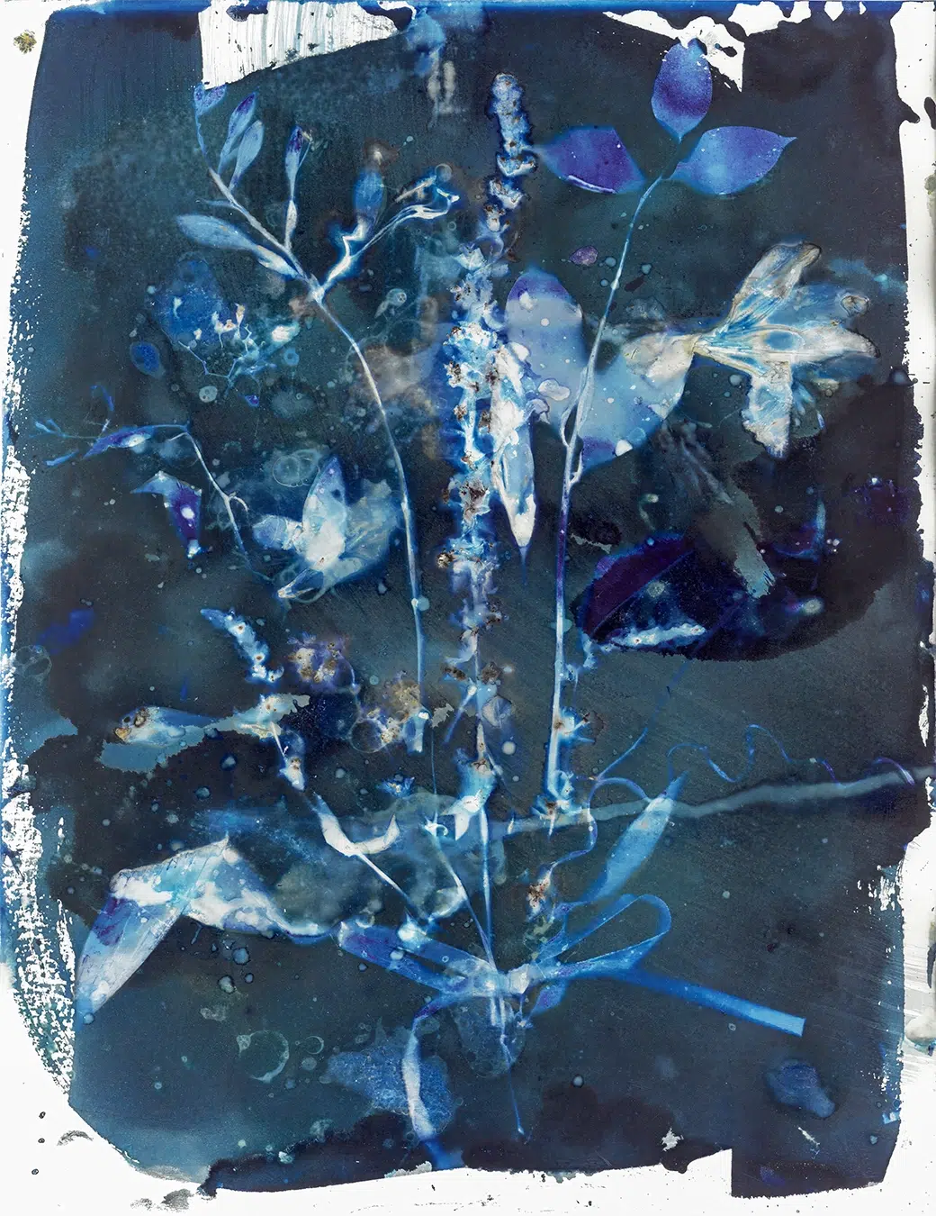 "Thinking of You Always", a cyanotype from the Bouquet series, by Katelynn McAllister