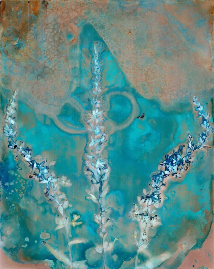"Reach", a scanned print from the Cynolumens series, by Katelynn McAllister