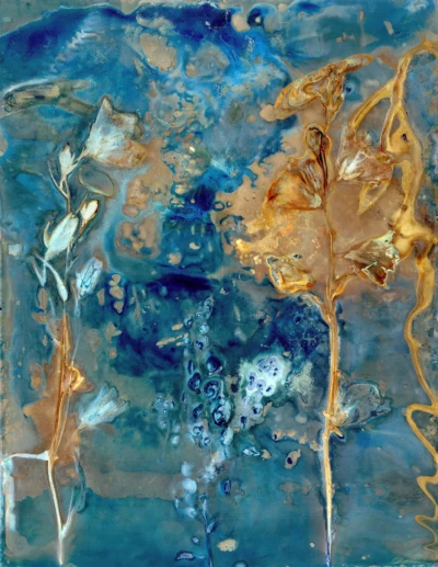 "Watercress", a print from the Cynolumens series, by Katelynn McAllister