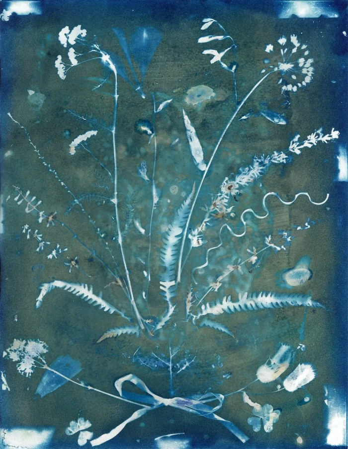 "Wish You Well", a cyanotype from the Bouquet series, by Katelynn McAllister