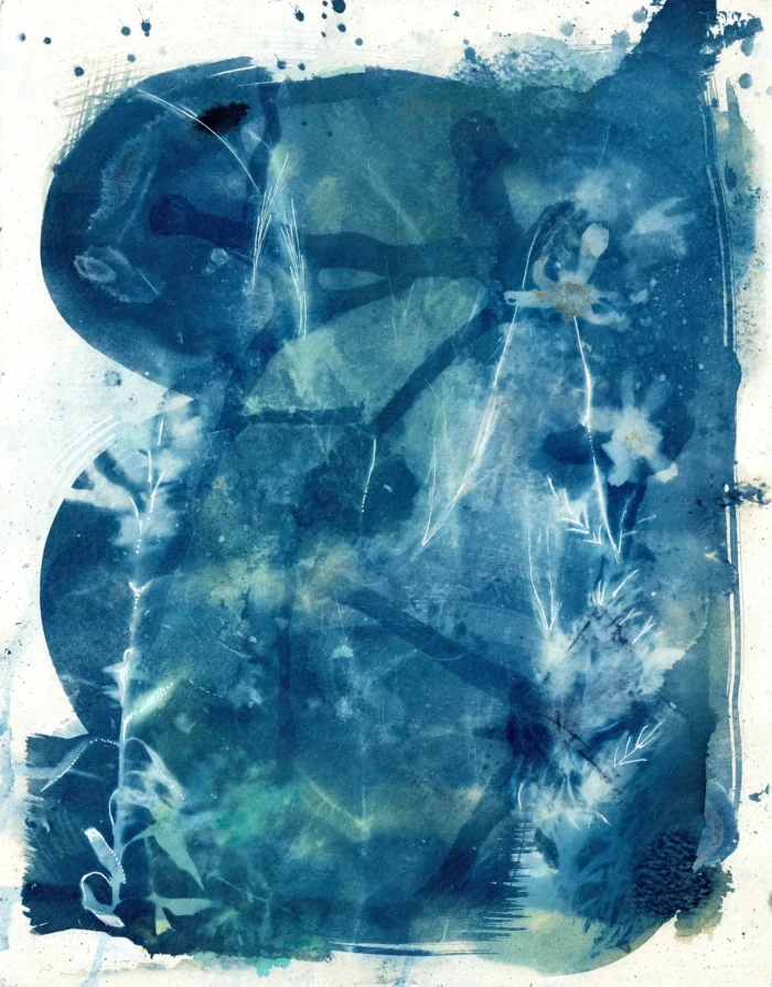 "Flower Fog", a cyanotype from the Compositions series, by Katelynn McAllister
