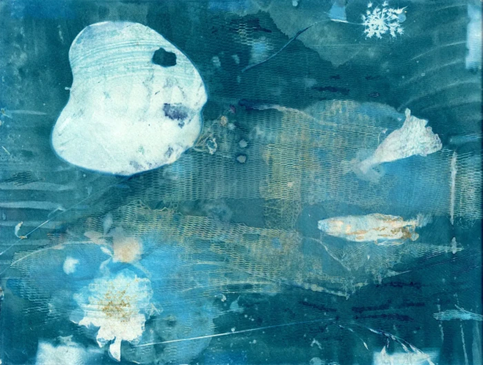 "Leaf Net", a cyanotype from the Compositions series, by Katelynn McAllister