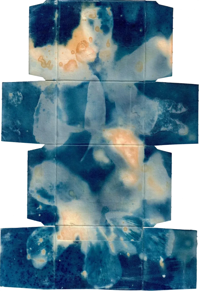 "Sinking", a cyanotype from the Compositions series, by Katelynn McAllister