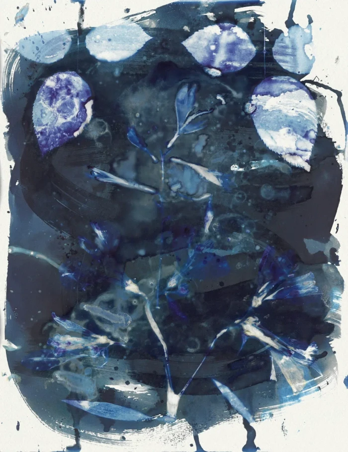 "Triplet", a cyanotype from the Compositions series, by Katelynn McAllister