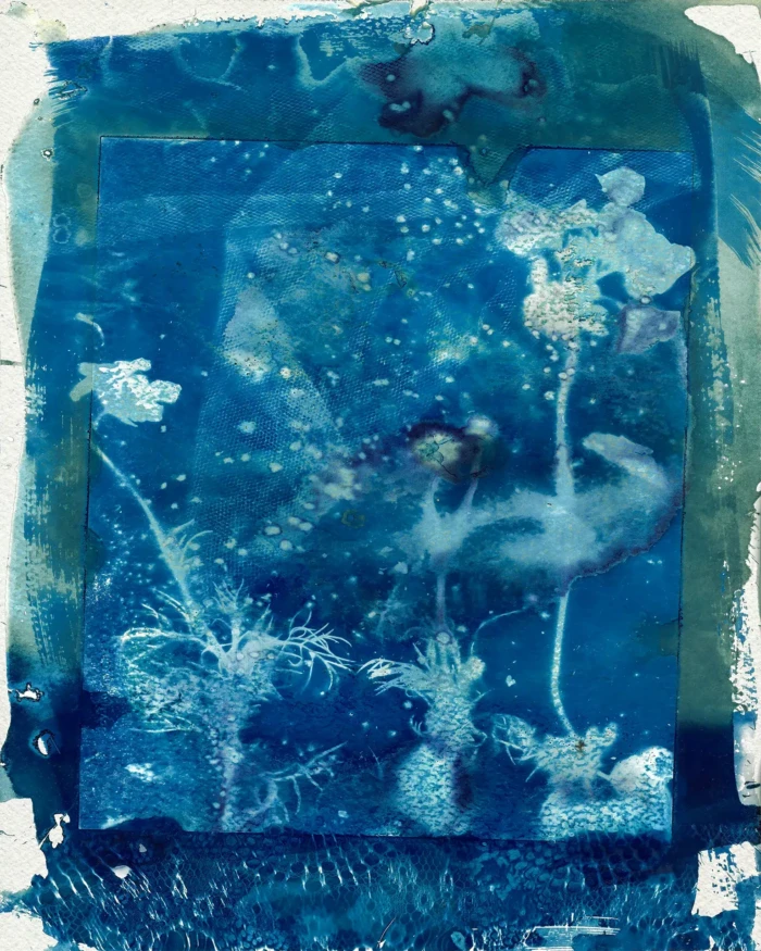"Underwater", a cyanotype from the Compositions series, by Katelynn McAllister