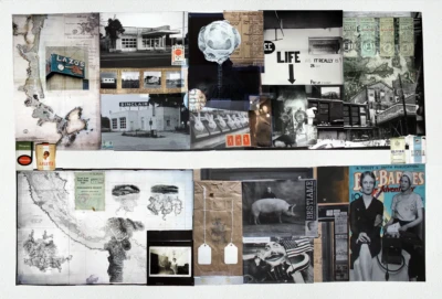 "A Vast Image Troubles My Sight", a collage from the Vestiges series, by Katelynn McAllister