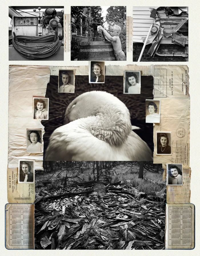 "Goose Kin", a collage from the Vestiges series, by Katelynn McAllister