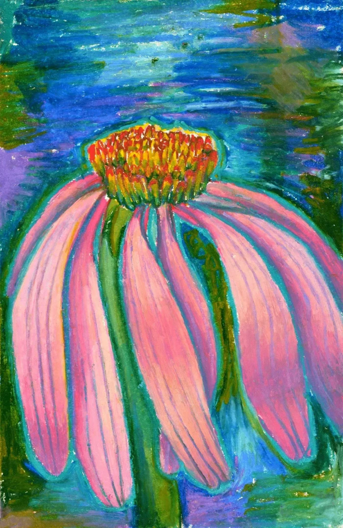 "Coneflower", part of the Drawing series, by Katelynn McAllister