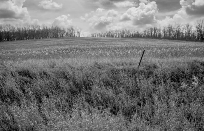 "Field Breeze", photograph from the Along Country Lanes series, by Katelynn McAllister