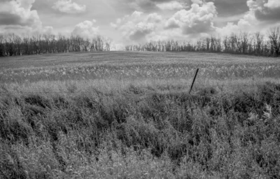 "Field Breeze", photograph from the Along Country Lanes series, by Katelynn McAllister