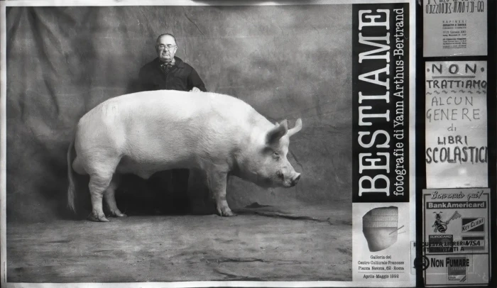 "Alcun Genere", a photograph from the Italia series, by Katelynn McAllister